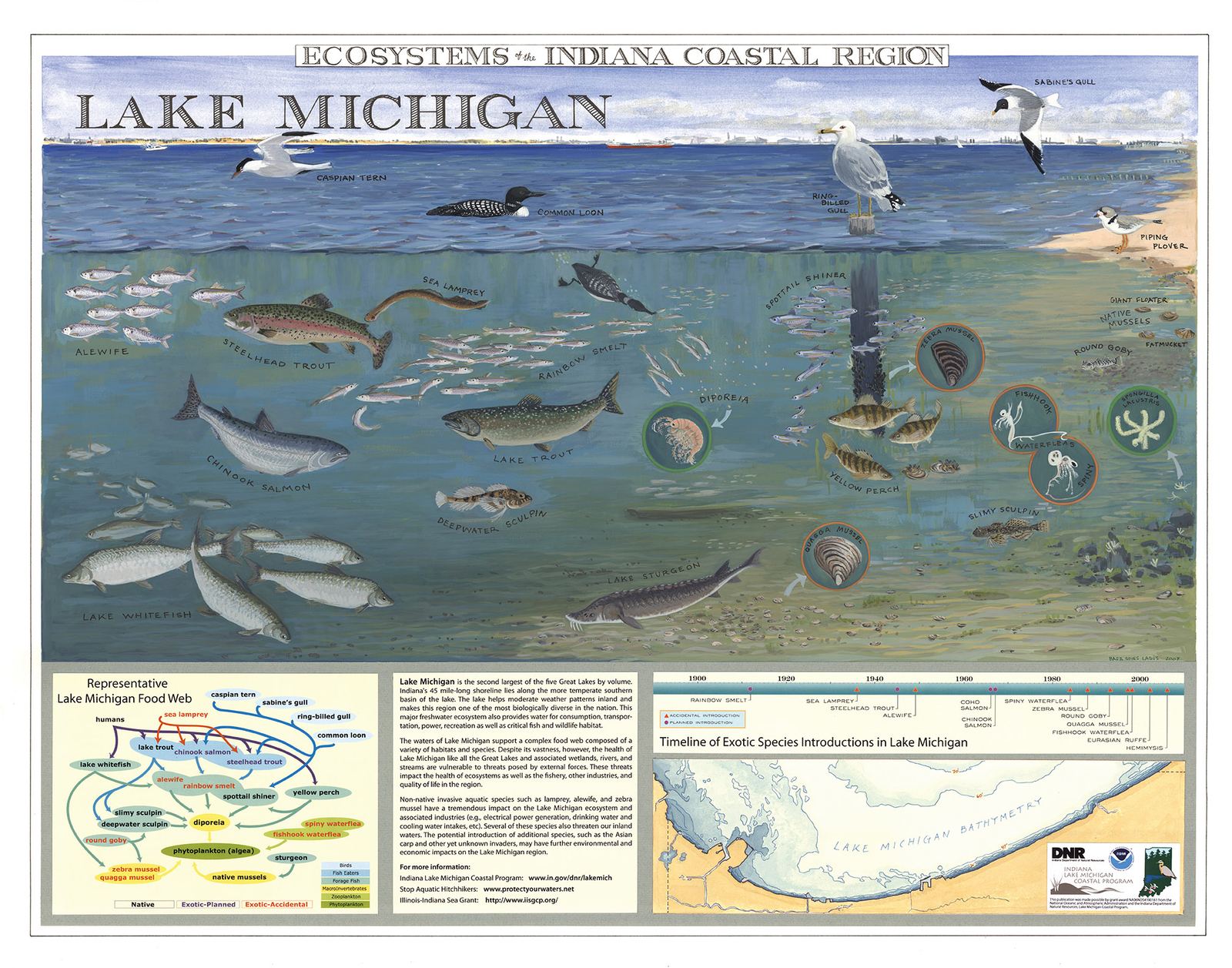 Ecosystems of the Indiana Coastal Region — Lake Michigan food web, species, and bathymetry poster
