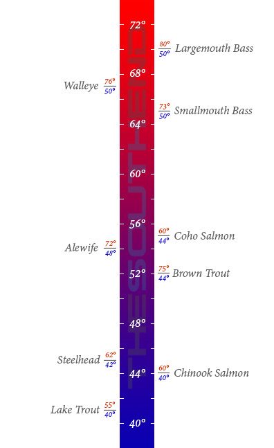 Preferred water temperature ranges by species